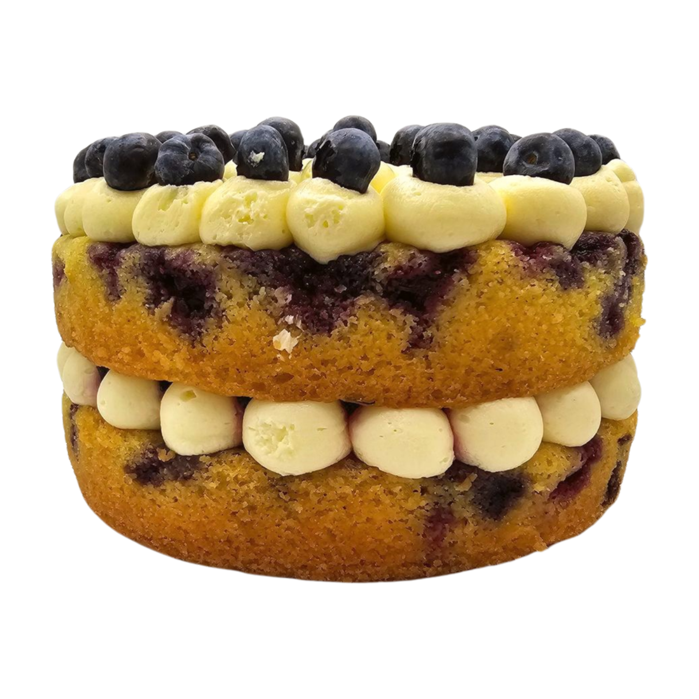 Blueberry and Lemon Cake