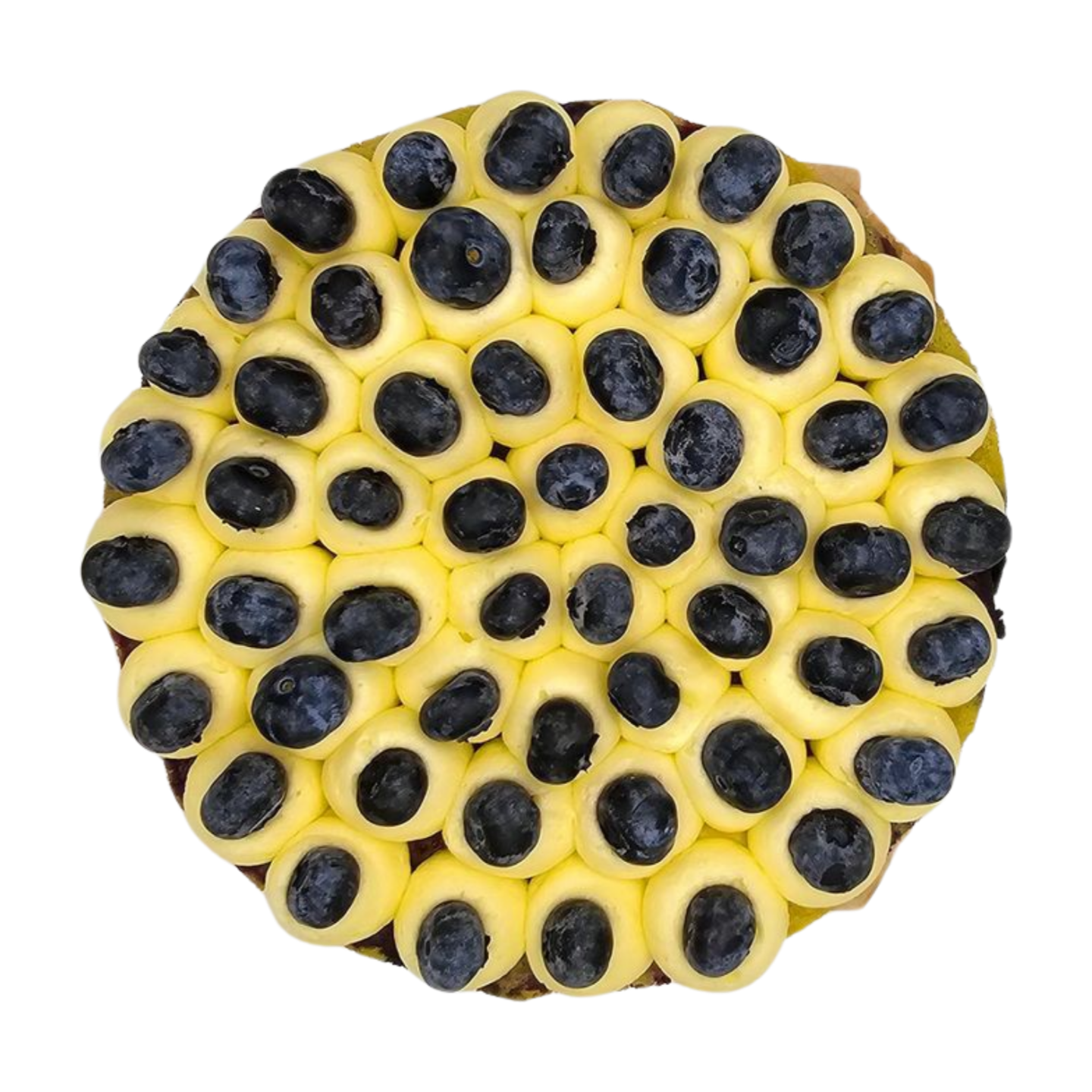 Blueberry and Lemon Cake